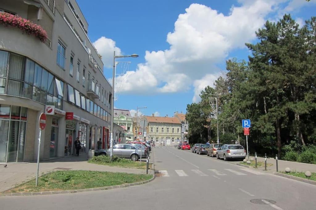 Apartman Green Central Studio Novi Sad