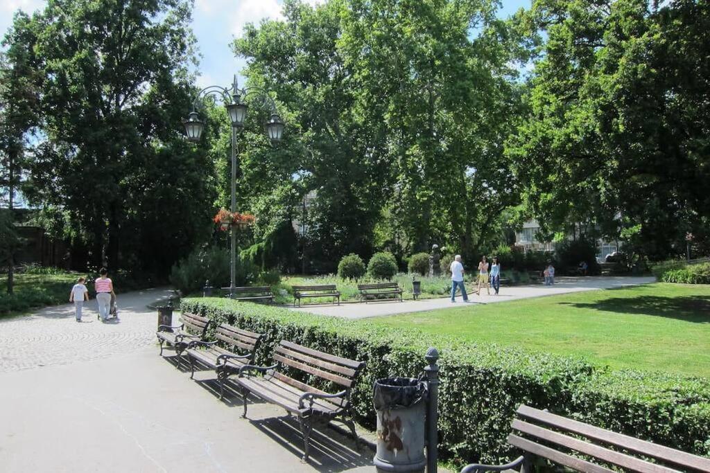 Green Central Studio * Novi Sad