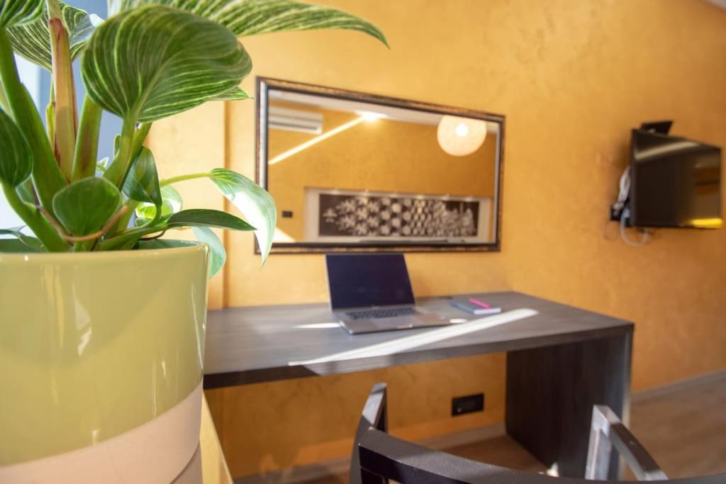 Green Central Studio * Novi Sad